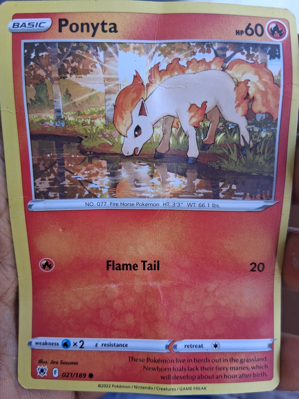 Ponyta Trading Card — Red & Cream Artwork